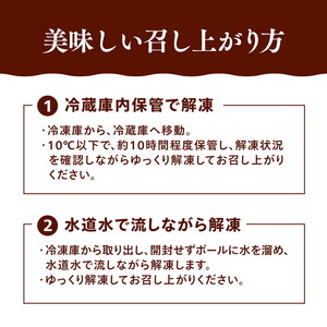 【オーシャンキングの極・ほぐし身】250g×10パック 約2.5kg ◇ レシピ　サラダ　スープ　お弁当　卵　卵焼き　チャーハン　冷凍　副菜　簡単　おつまみ　中華　酢の物　ナムル　おにぎり　そのまま　茶碗蒸し カニカマ　ジューシーな旨味　甘みが強い　本格的　ヘルシー　カニ風味　カニ棒肉風　解凍　高級　ふるさと納税　愛媛県　松野町　お取り寄せ ※着日指定不可 ※離島への配送不可