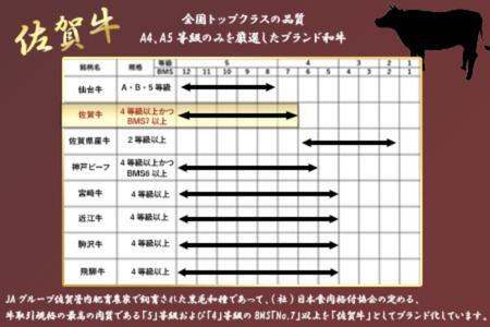 《A5～A4等級》 佐賀牛 ロースステーキ(サーロイン・リブロース) 約250g×2枚(合計約500g) 約3～4人前 全国屈指のブランド牛 牛肉 ステーキ ギフト 黒毛和牛 肉 冷凍 わけあり