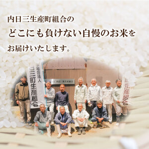 【令和7年産】【定期便】 Wブレンド米 10kg 隔月3回 (合計30kg) 山口県産 米 下関 《内日三町：DZ》