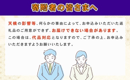 みかん 贈答用 愛果28号 2 ~ 3kg 化粧箱入 矢野青果 柑橘 蜜柑 mikan 高級 ブランド 限定 人気 品種 甘い ゼリー プルプル 果物 くだもの フルーツ 人気のみかん 美味しいみかん 濃厚 贈答品 数量限定 産地直送 先行予約 国産 愛媛 宇和島 B012-171004