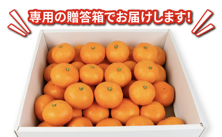 【温州】 南柑20号 2 ~ 3kg 矢野青果 温州 B012-171006