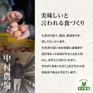 中村農場　八ヶ岳卵40個セット [h024]
