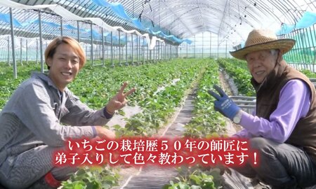 CZ-003_食べ比べ【あまおう】冷凍いちご800g、いちごの冷凍タブレット600g