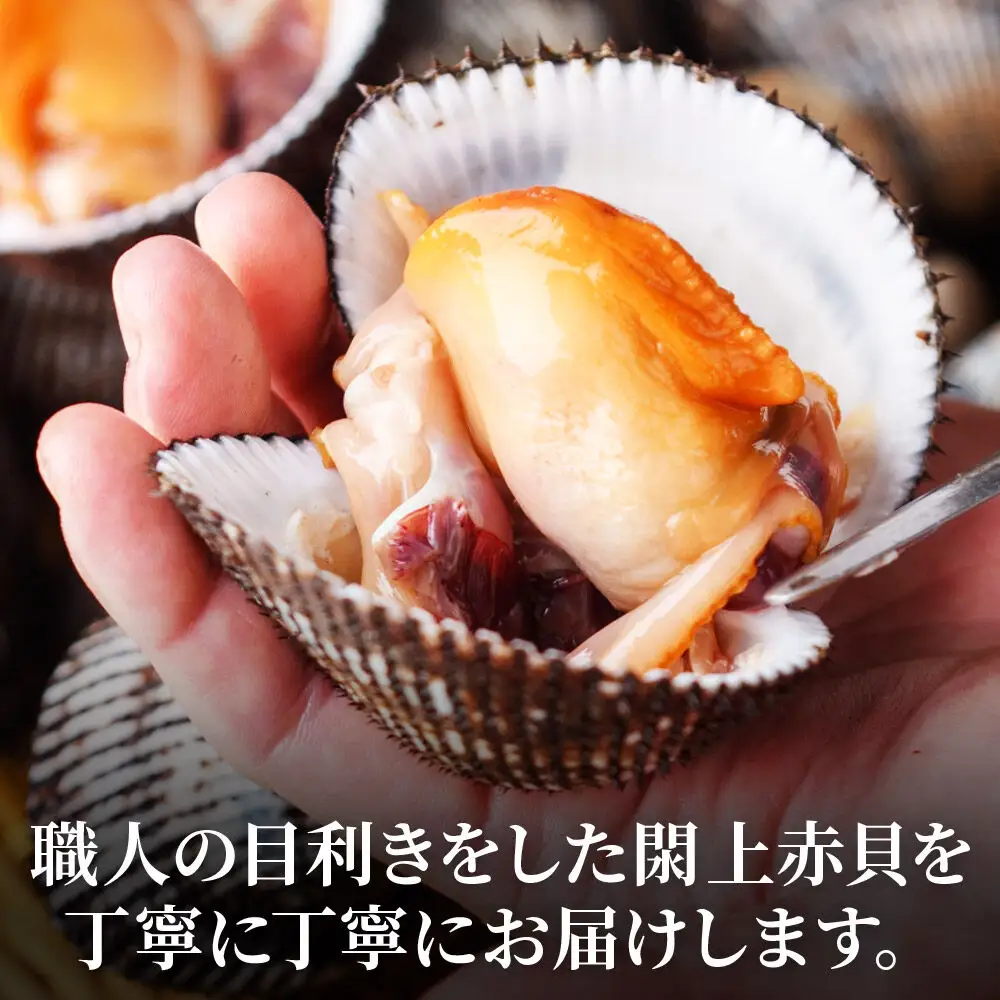 【 漁亭 浜や 】 閖上 赤貝 三種盛セット（なめろう、刺身、燻製）高級食材 海鮮 魚介類 貝