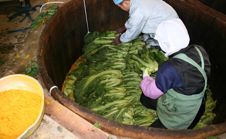 【3回定期便】高菜乃華4個入りセット 高菜漬一筋-前田食品工業 辛子めんたい高菜 辛子高菜 葉がくれ 高菜ご飯の素 F25-48