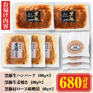 【A03006】南州農場黒豚バラエティ詰合せB 鹿児島 国産 九州産 黒豚 豚肉 お肉 ハンバーグ 生姜焼き ロース 味噌漬け みそ おかず 肉加工品 贈答 ギフト【南州農場(株)高山ミートセンター】