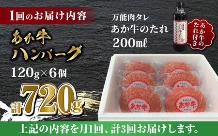 【全3回定期便】あか牛 100％ハンバーグ セット 120g×6個【有限会社 三協畜産】  国産 赤身 赤牛 褐牛 あかうし [ZEB049]