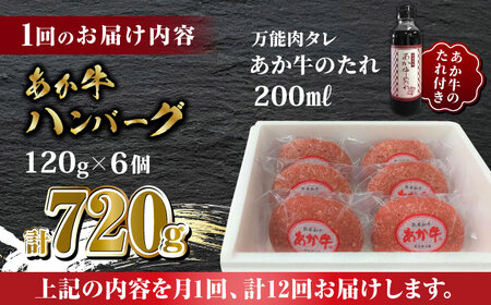 【全12回定期便】あか牛 100％ハンバーグ セット 120g×6個【有限会社 三協畜産】 国産 赤身 赤牛 褐牛 あかうし [ZEB083]