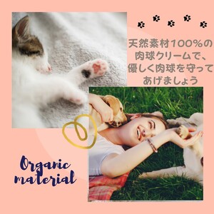 【ペット専用】みつろう肉球クリーム20g 《 ペットグッズ 犬 ケア みつろう クリーム ホホバオイル 》【2400N13309】