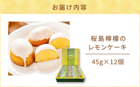 桜島 檸檬 の レモンケーキ K236-001