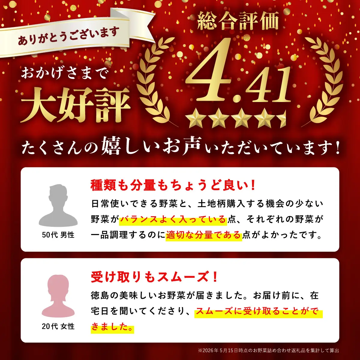 阿波の国海陽町　旬のお野菜詰め合わせセット8‐12品