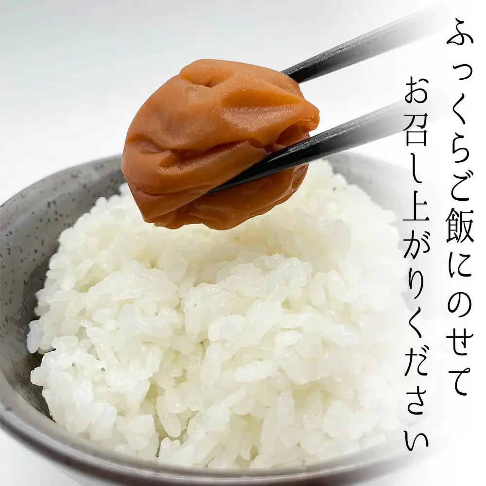 まけん梅(R) はちみつ漬 蜜宝梅 2kg(500g×4) 塩分約5％ 梅干し 紀州南高梅 nankiume001B【nankiume001B】