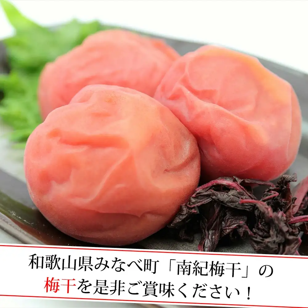 はちみつ梅干　フレッシュ感そのまま個包装タイプ　14g(2L)×60粒　紀州南高梅　完熟うめ　塩分約5％ nankiume002A【nankiume002A】