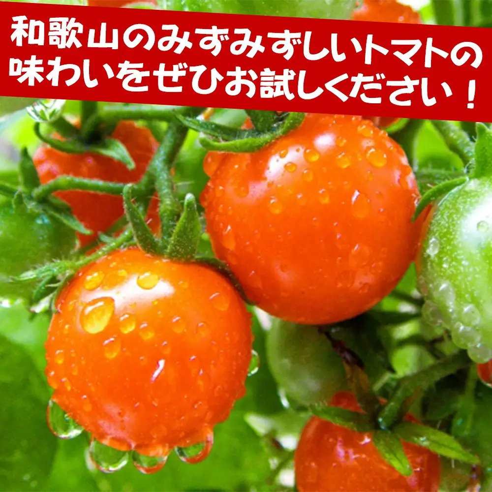 トマトジュースセット nakys001A【nakys001A】