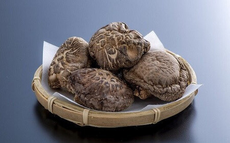 乾しシイタケ(80g×3袋)品種：ゆう次郎【大分県新ブランドうまみだけ】 | 豊後高田市 しいたけ