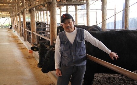 おおいた豊美牛バラ切り落とし(600g) | 豊後高田市 牛肉切り落とし