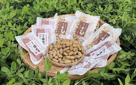 C-24 ぶんごたかだ特製塩煎り落花生詰合せ(100g×5袋)