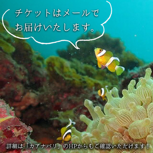 徳島最南端の海で体験ダイビング！