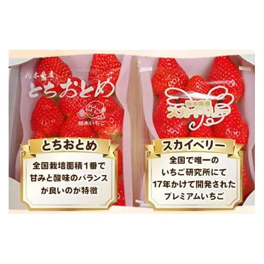 【2027年先行予約】大粒スカイベリー×元祖とちおとめ 食べ比べセット 560g