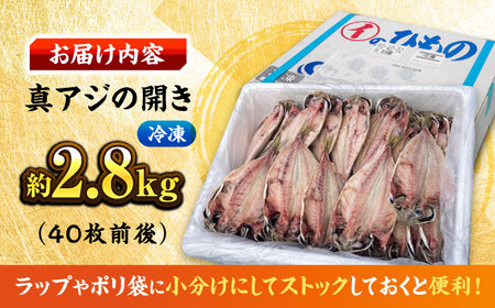 【訳あり】干物 真アジの干物 約2.8kg（40枚前後） [AKCX001]