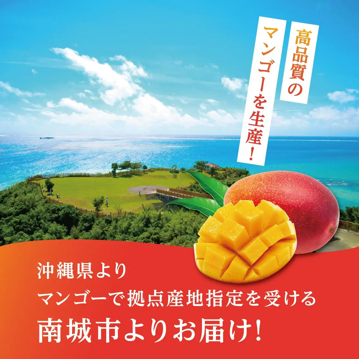 ＜訳あり・ご家庭用＞幻のキーツマンゴー約2kg（白箱）2玉～7玉   