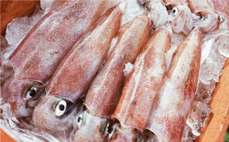 魚介 漁師直送！旬の高級海産物詰め合わせ(30,000円相当) 冷蔵 島根県松江市/株式会社永幸丸[ALFM002] 魚介 魚介