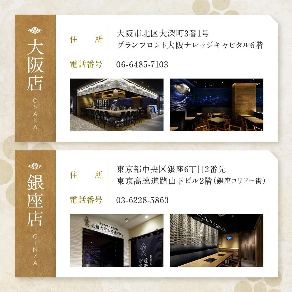 お食事券 4名様 コース 近畿大学水産研究所 近大マグロを食す