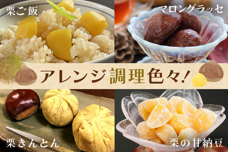 アカツファーム の ぽろたん（ 生栗 ） 特大 3Lサイズ 2kg GA-014