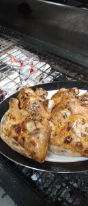 創業50周年！とりせい 炭焼き若どり 3人前セット(冷蔵) 鶏肉 とり 鳥肉 とりにく トリニク　