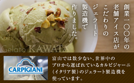 【訳あり】 ジェラート ２L ピスタチオ　ジェラート
