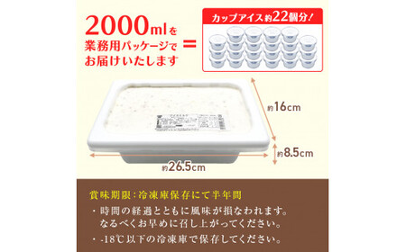 【3ヶ月定期便】【Himi Gelato】訳ありジェラート２Lいちごのミルフィーユ　ジェラート