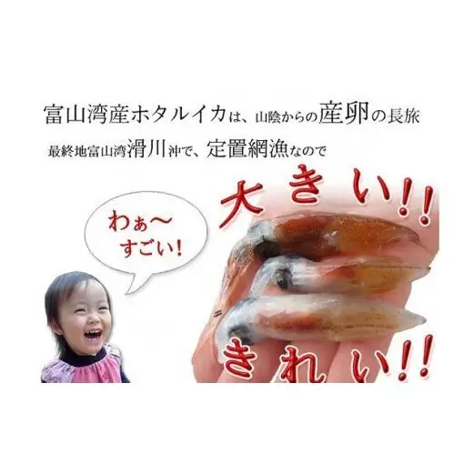 越中氷見屋　ホタルイカ沖漬け4種・甘酢漬け・素干し・魚醤干し（B1セット）　| ホタルイカ ほたるいか いか 珍味 沖漬け 醤油 柚子 味噌 辛 素干し 魚醤 甘酢 富山 富山湾 氷見 つまみ 酒の肴 瓶 冷凍 産地直送 無添加 特製 魚介 加工 詰め合わせ セット 