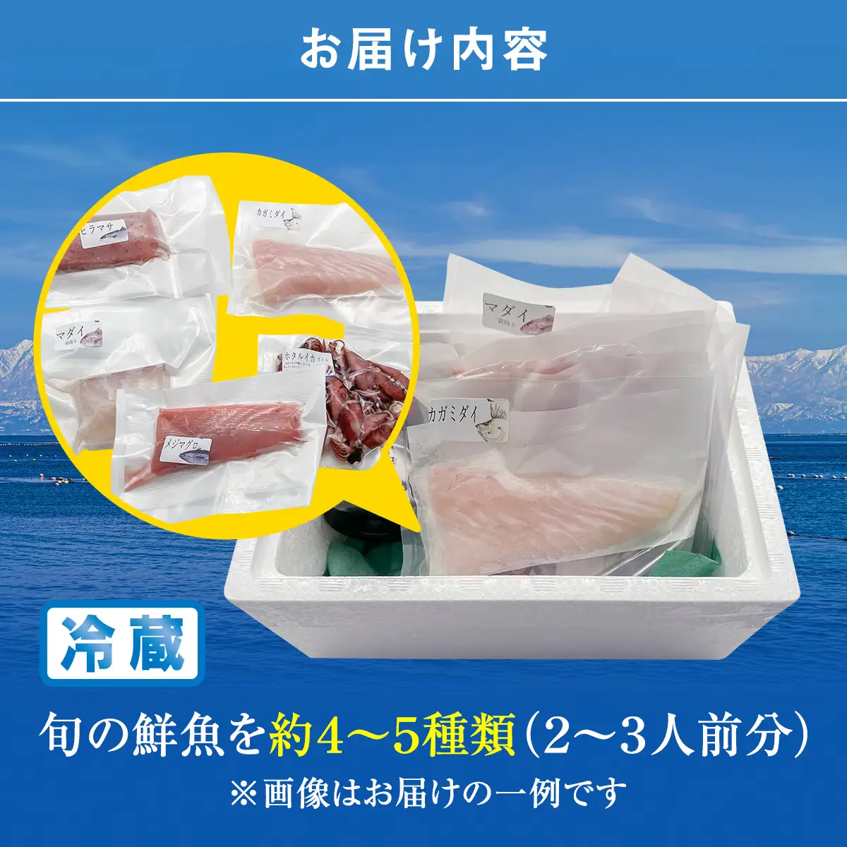 【配送地域限定】 産地直送の朝どれ鮮魚お刺身セット 2〜３人前 お届け指定なし
