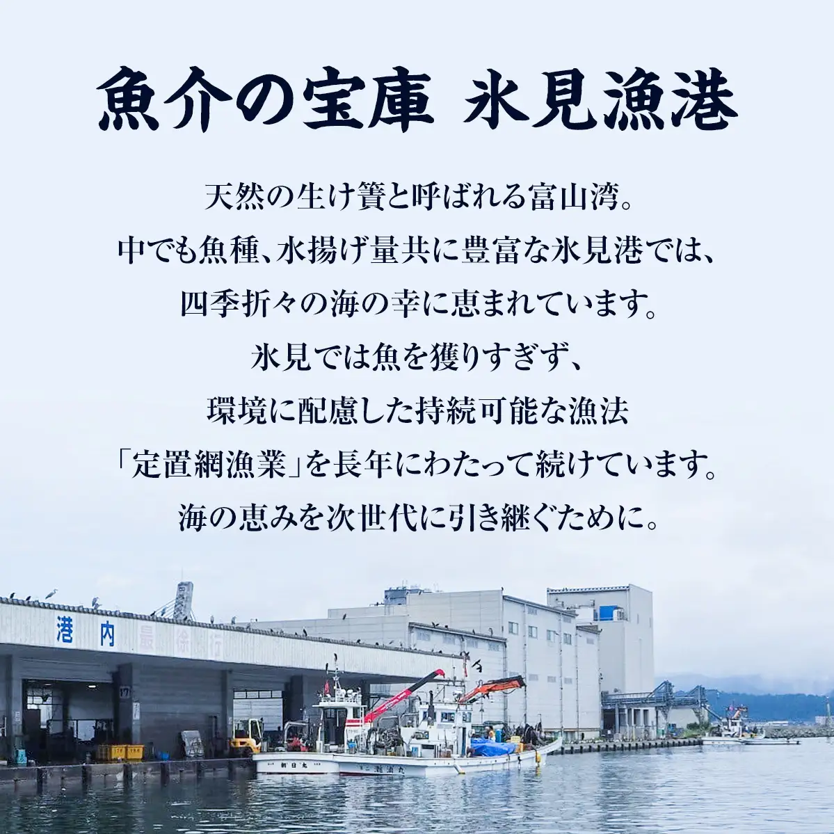 【完全受注生産】 本物のこだわり！半七の干物セット 贅 -Zei- 〈冷凍〉｜ 高級 干物セット 添加物不使用