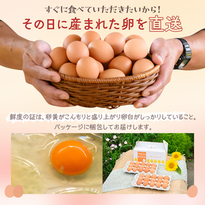 【定期便（３カ月）】小久保ファーム　濃厚卵黄　産みたてたまご　赤玉30個入り（M玉） ※着日指定不可 _EI04