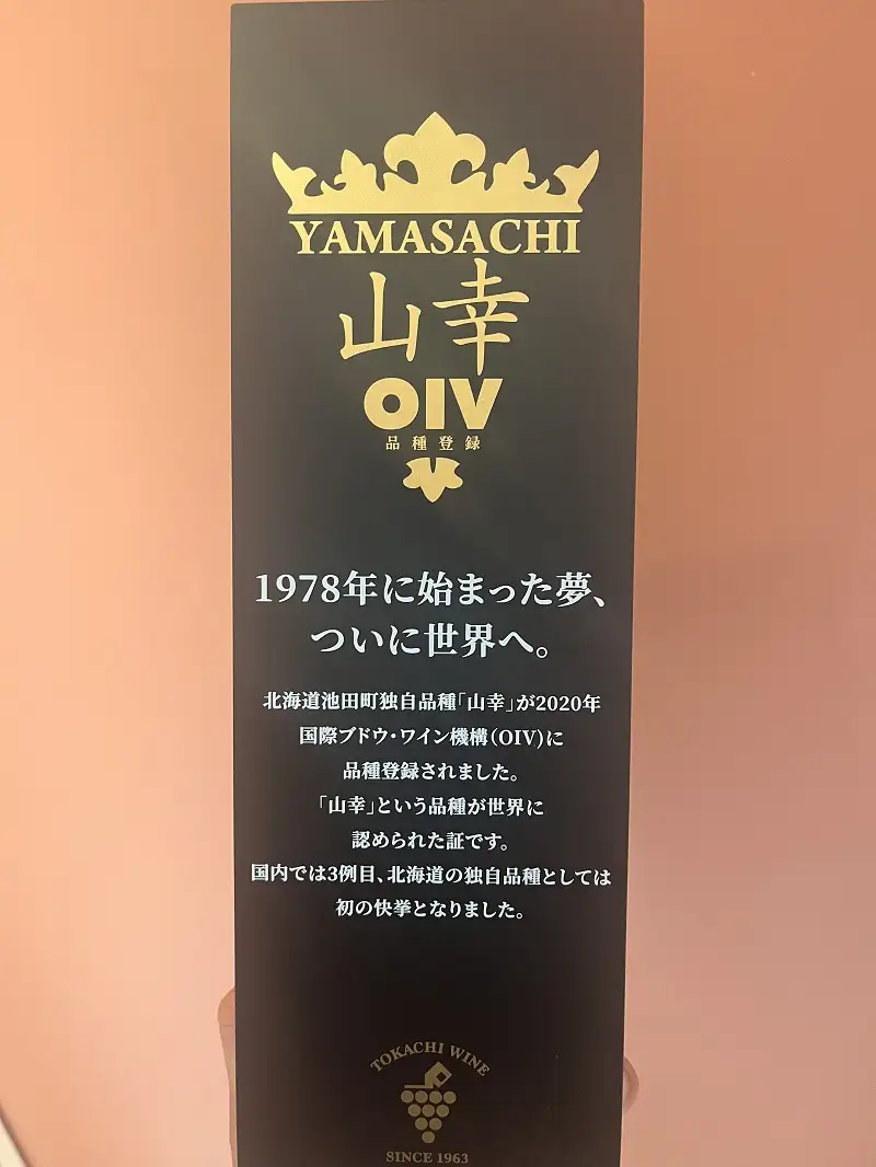 十勝ワイン ハーフ24本セット（360ml×24本）2種類 清見 山幸 飲みきりサイズ 北海道ワイン 池田町