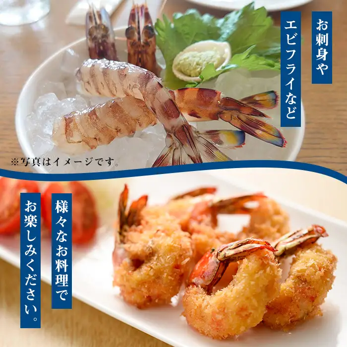 鹿児島県産！冷凍クルマエビ 500g クルマエビを合計20尾！クルマエビ1尾あたり25g　急速冷凍をかけたクルマエビをお届けします	【00-118-01】