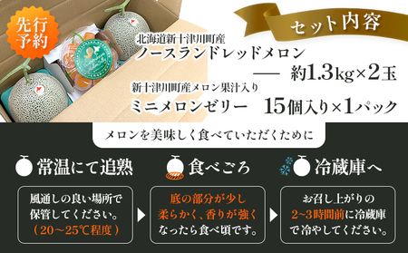 【数量限定】 赤肉メロン２玉・ミニメロンゼリーセット【令和8年７月～８月上旬発送】【1201707】