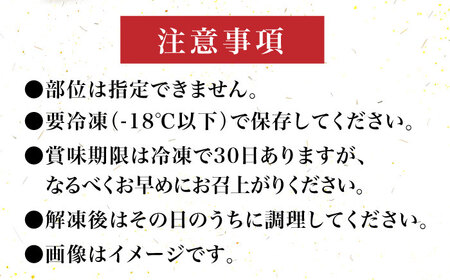【化粧箱入】博多和牛A5‐A4 切り落とし 500g [ABCJ026] 
