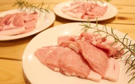 京丹波高原豚 ロース 焼き肉 1kg （豚 肉 豚ロース ロース 京丹波高原豚 三元豚 ぶた肉 霜降り 焼肉 焼き肉 バーベキュー BBQ キャンプ アウトドア 国産 ブランド 豚肉 贈答 ギフト お歳暮 お中元 冷凍 京丹波町 京都府 ふるさと納税）