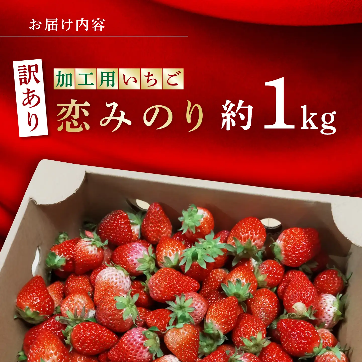 訳あり加工用いちご先行予約 恋みのり約1㎏苺いちごストロベリーイチゴ