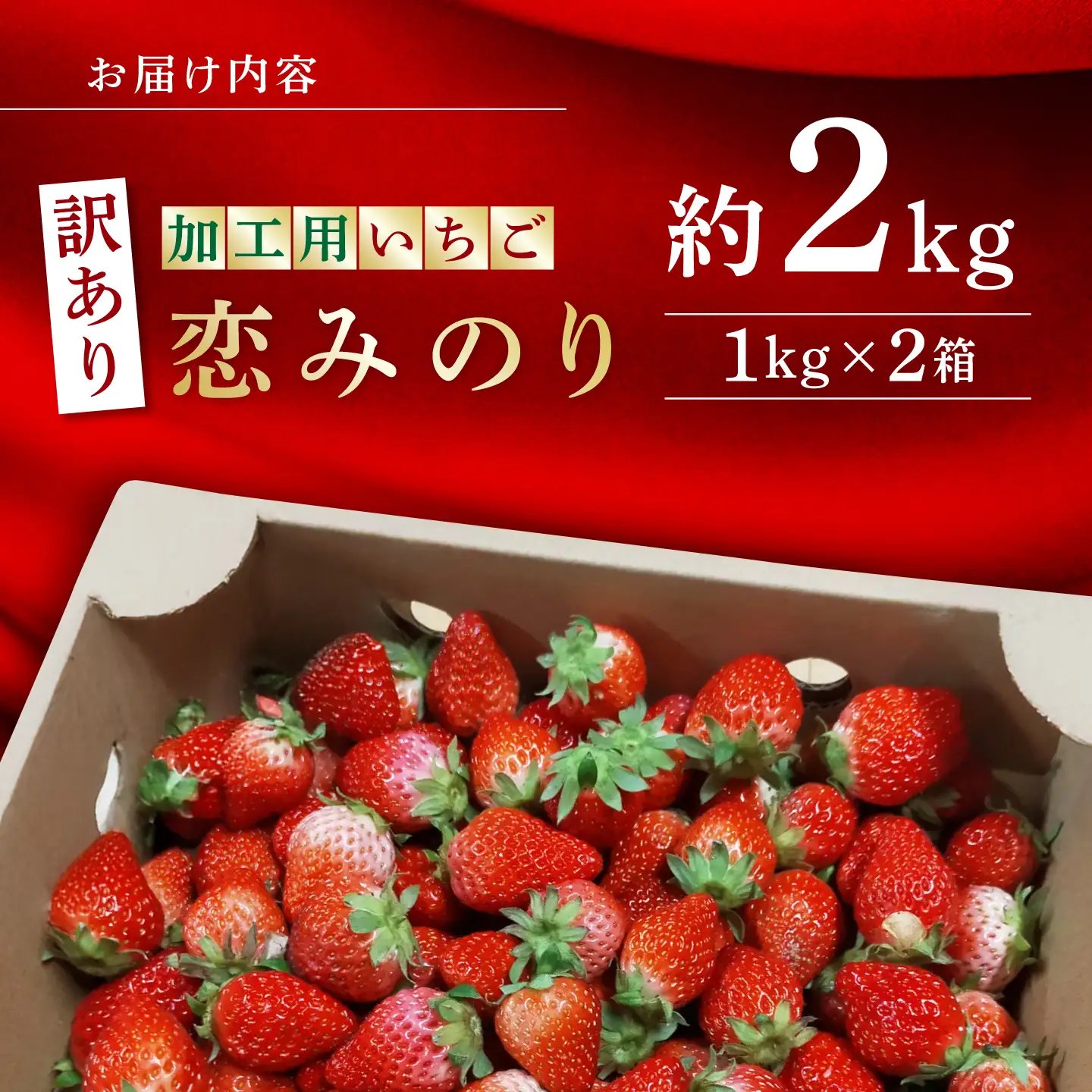 訳あり加工用いちご先行予約 恋みのり約2kg（1kg×2箱）有機栽培いちご苺イチゴZBB012