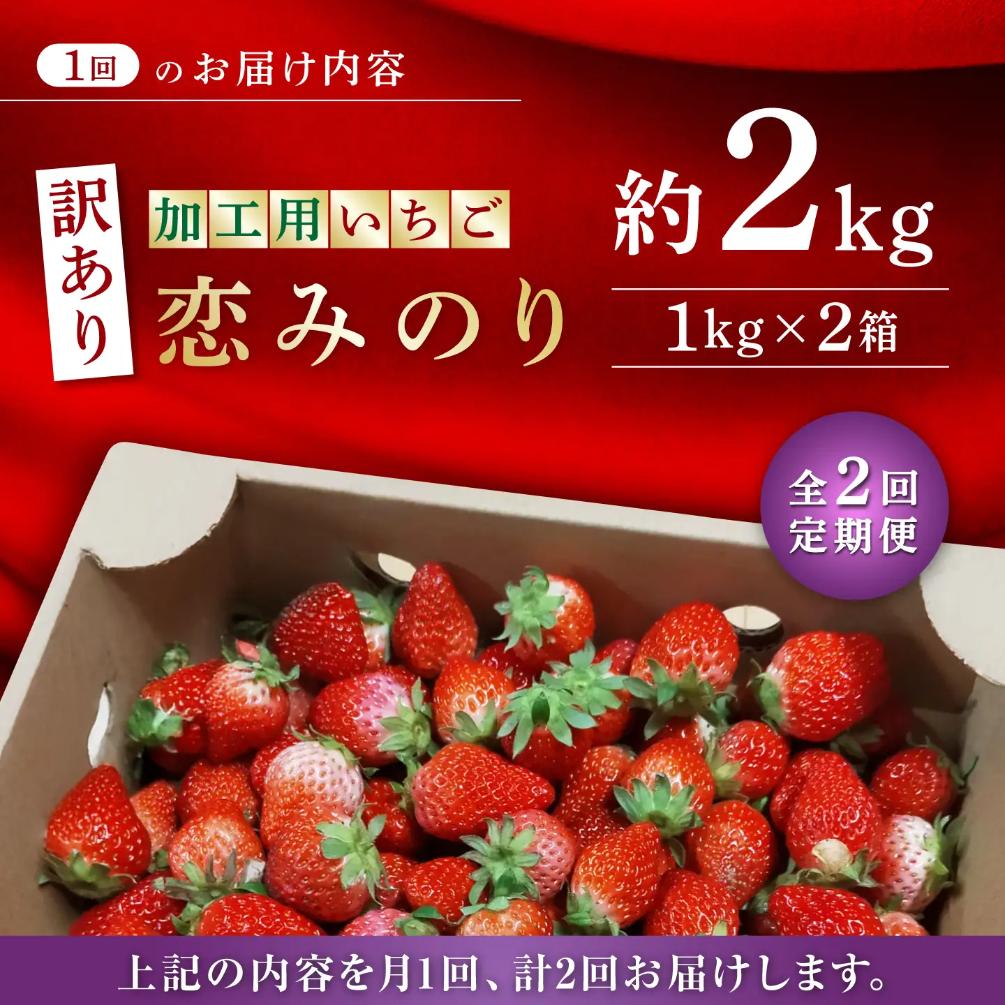 訳あり加工用いちご先行予約2回定期 恋みのり約2kg（1kg×2箱）苺イチゴ有機栽培いちごZBB014