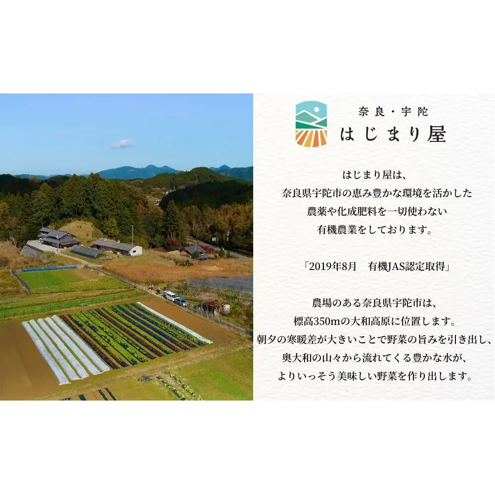 【期間限定】有機人参100％使用 人参ジュース 1000ml×2本 ギフト／ にんじん 有機野菜 無添加 野菜ジュース はじまり屋 奈良県 宇陀市 贈り物 ふるさと納税