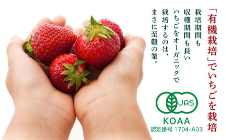 【6回定期便】高級 冷凍  いちご 加工用 約1kg（約500g×2袋）【伊藤農園】  果物 フルーツ イチゴ いちご 苺 熊本県 特産品 オーガニック 有機 恋みのり 冷凍 [ZBB016]