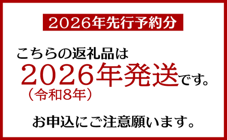 ＜訳あり・ご自宅用＞アップルマンゴー（約1.5kg）＜2026年発送＞ 〇 沖縄 旬のフルーツ マンゴー 7月 スイーツ おうち用 産地直送 お家使い うちなーすぐりむん 読谷村 お試し 夏 人気 甘い 家庭用 