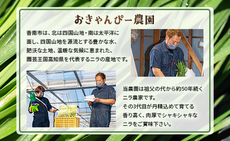 ニラ 2kg 生産量日本一 ニラ on-0011
