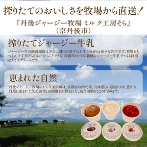 ZuT 溶けにくい アイス 6個(3種×各2) 京都のアイス 至福のアイス 美味しいアイス ミルクアイス アイスセット
