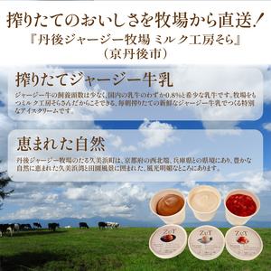 ZuT 溶けにくい アイス 12個(3種×各4) 京都のアイス 至福のアイス 美味しいアイス ミルクアイス アイスセット
