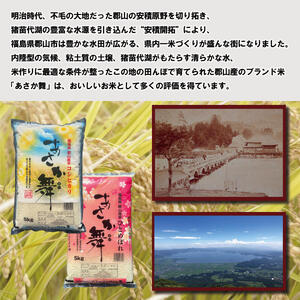 【令和7年産】 福島県郡山産あさか舞コシヒカリ 10kg（5kg×2） お米 ブランド米 HACCP 精米 
